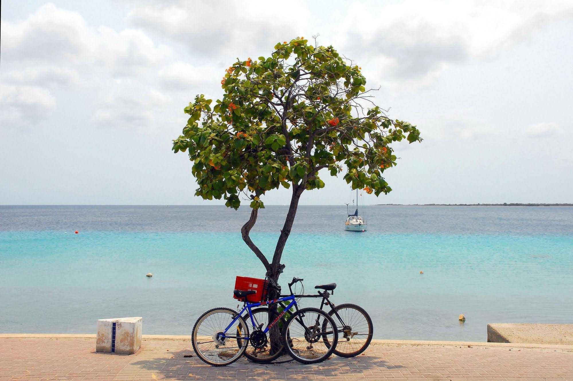 City Inn Bonaire Εξωτερικό φωτογραφία